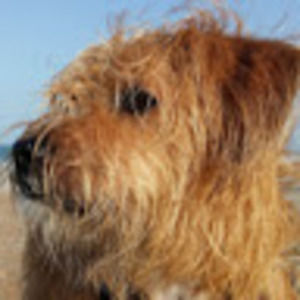 Meet your Posher, Ari